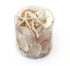 medium premium pearl champagne white mixed seashell pack